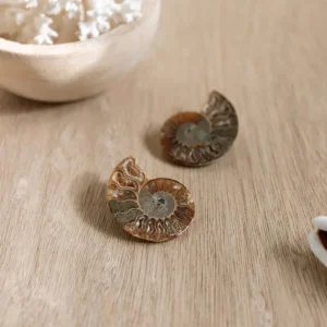 Gisel B Boucles D'oreille>Boucles Harper
