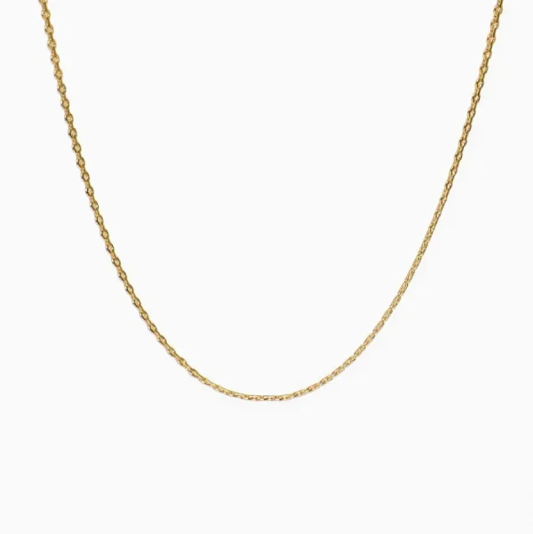 Titlee Colliers>Collier Columbia